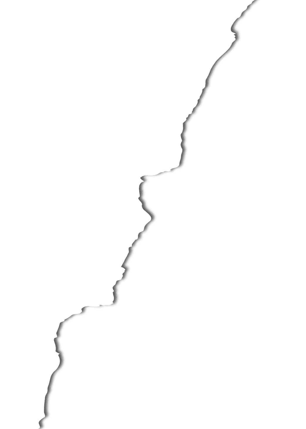 Footer Decorative Image